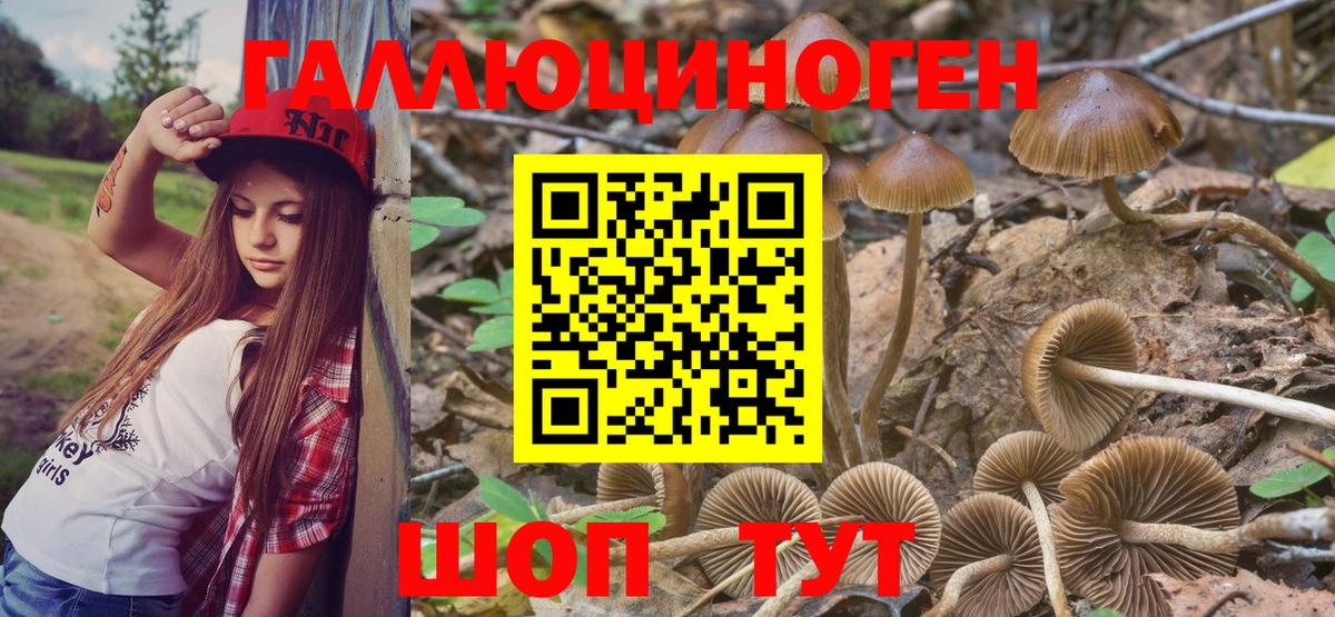 Старая Купавна  Псилоцибиновые грибы ЛСД  Вход с VPN 
