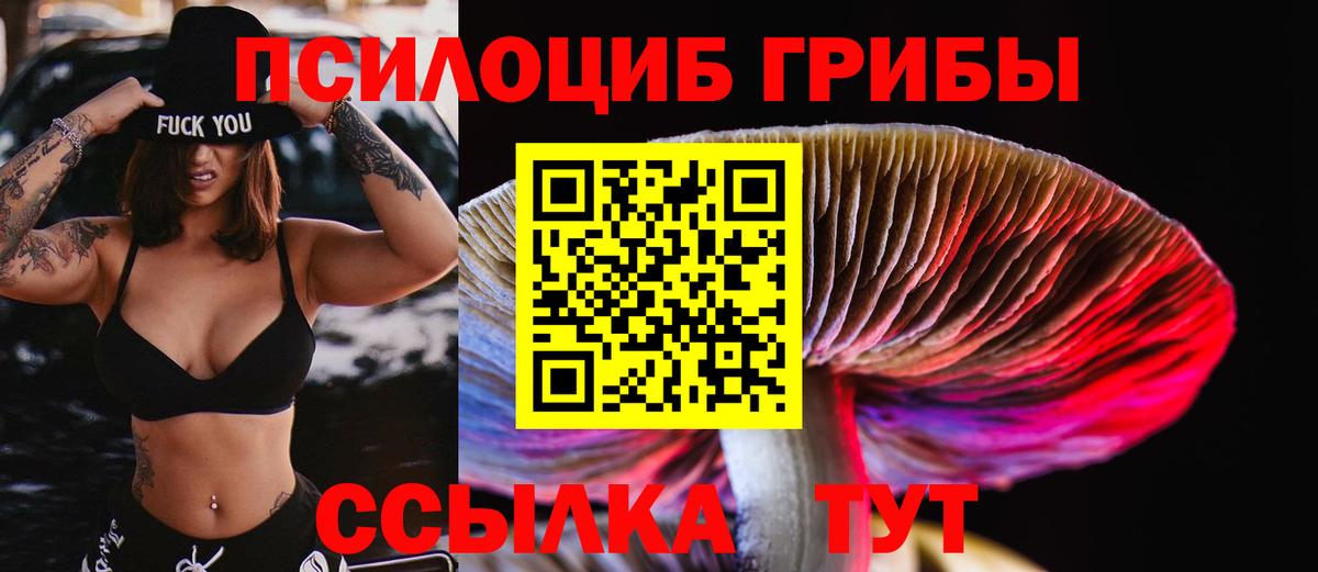 Галлюциногенные грибы мицелий Старая Купавна